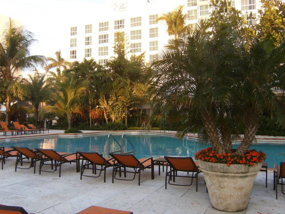 Pool The Palms Hotel & Spa