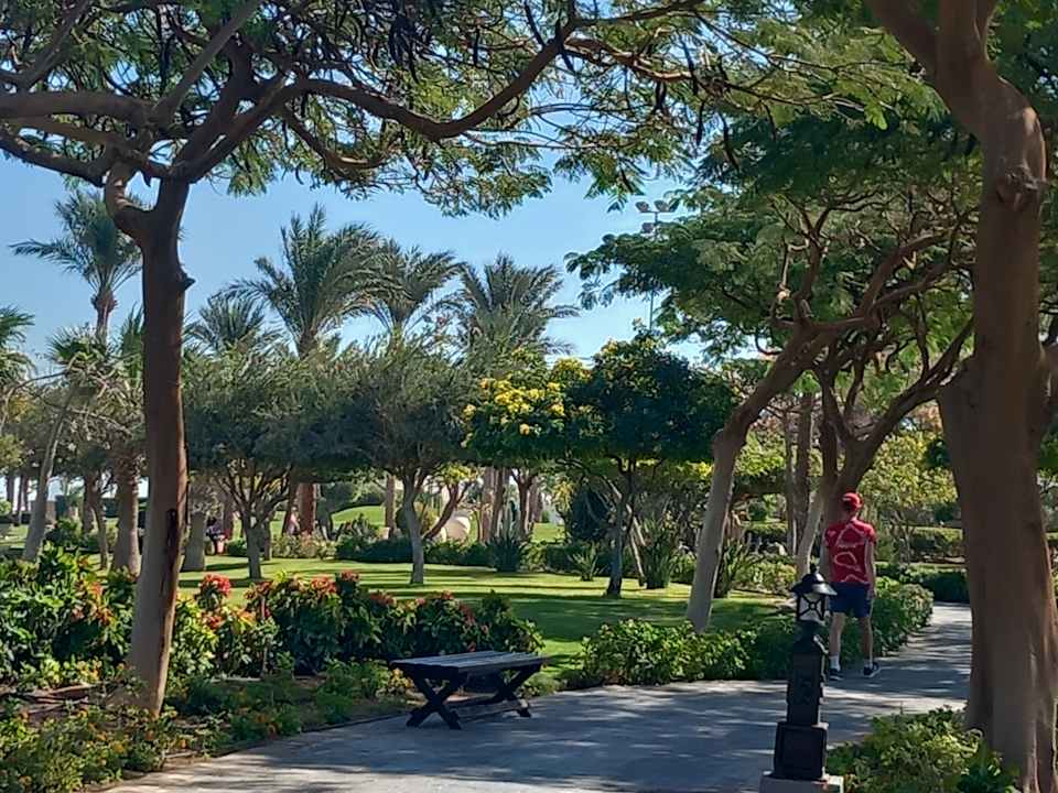 Gartenanlage Steigenberger ALDAU Beach Hotel