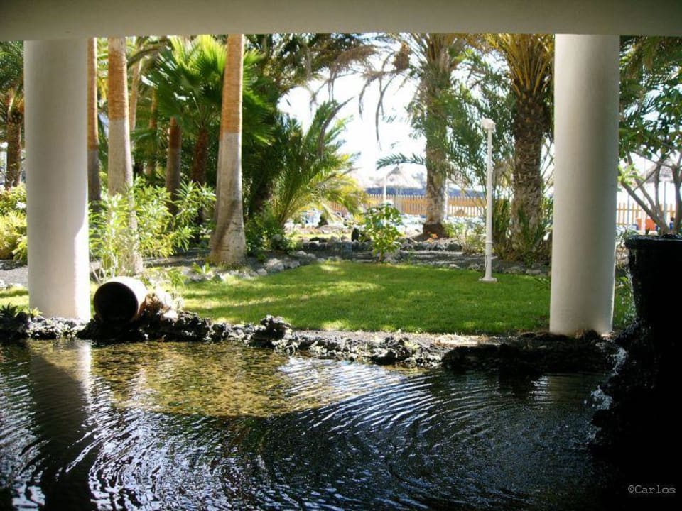 Wassergarten im Bereich des Hotels Melia La Palma Hotel