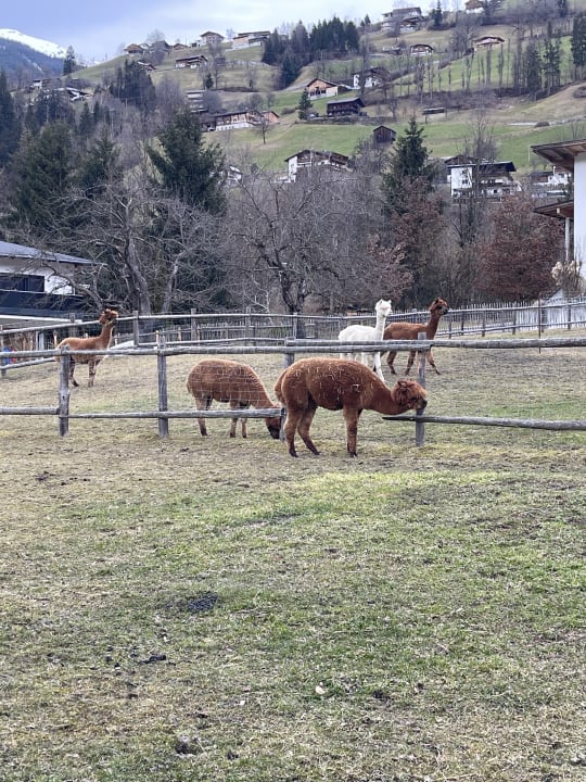 Gartenanlage Natur Resort Rissbacher