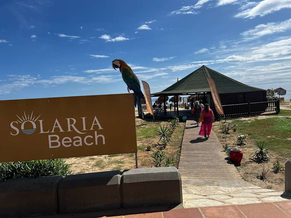 Pool Medina Solaria & Thalasso