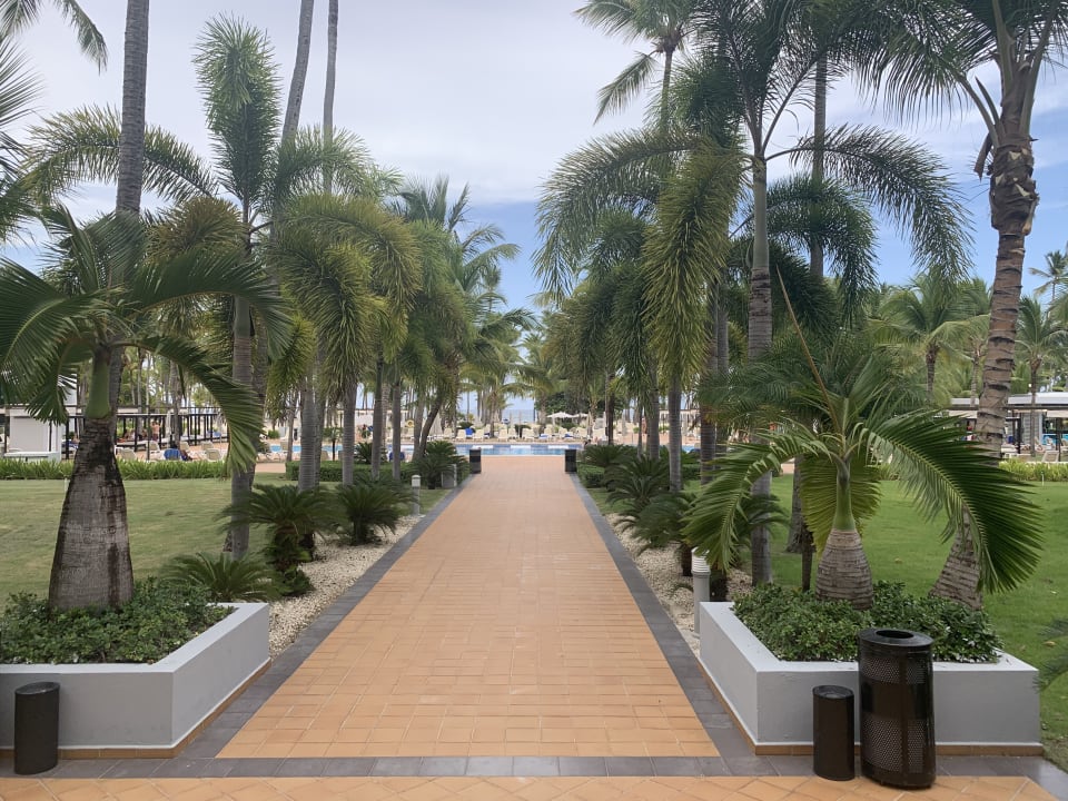 Außenansicht Hotel Riu Palace Macao - Adults only