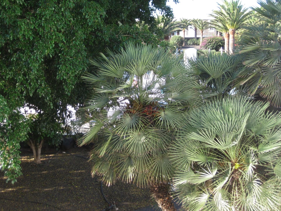 Ausblick nach unserem Umzug Relaxia Olivina