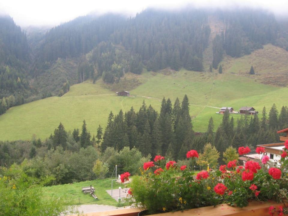 Blick von unserem Balkon Hotel Almhof Roswitha