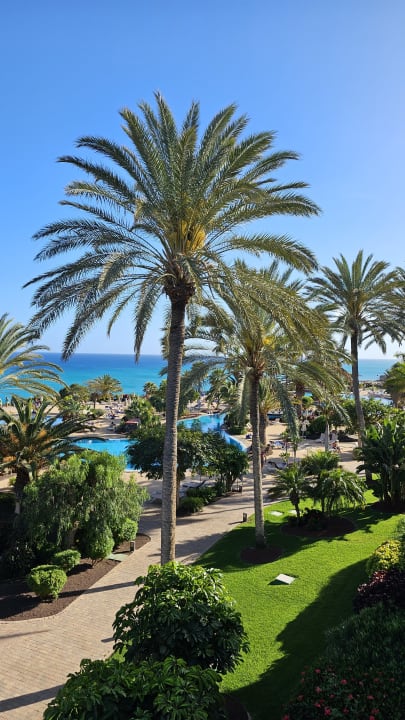 Gartenanlage R2 Pajara Beach