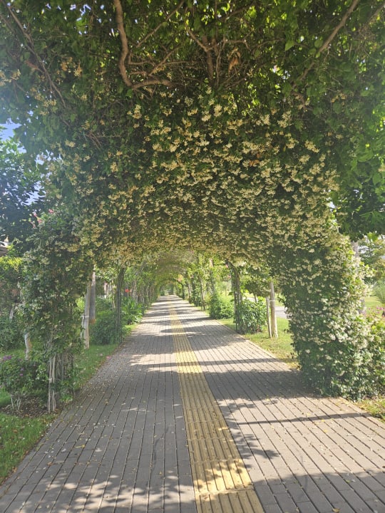 Gartenanlage Royal Seginus