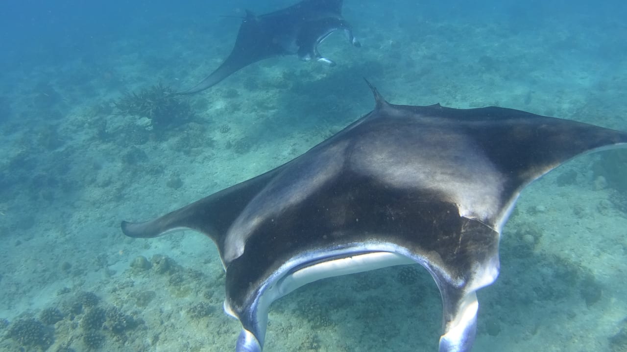 Sonstiges Summer Island Maldives