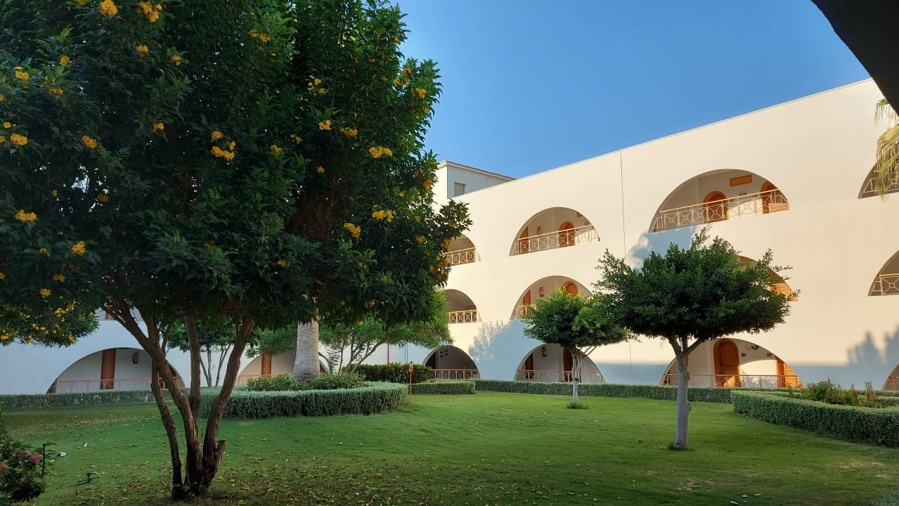 Gartenanlage Desert Rose