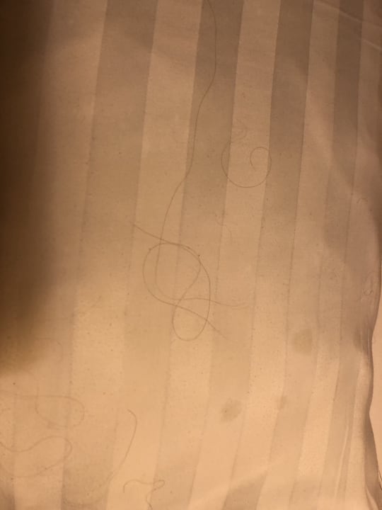 Zimmer Hotel Piroska