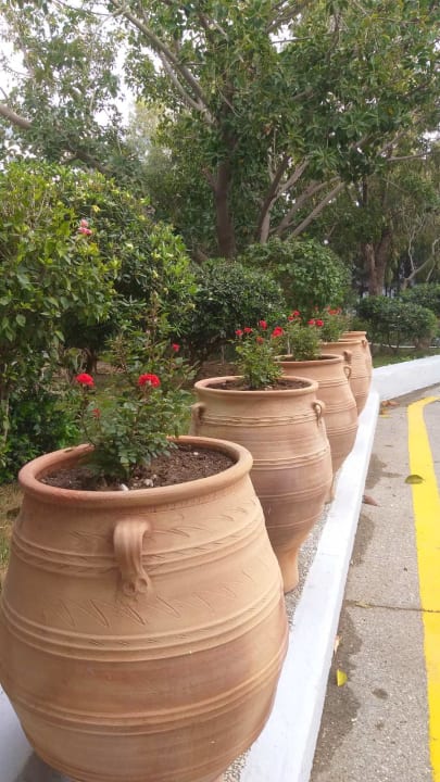 Sonstiges Grecotel LUXME Dama Dama