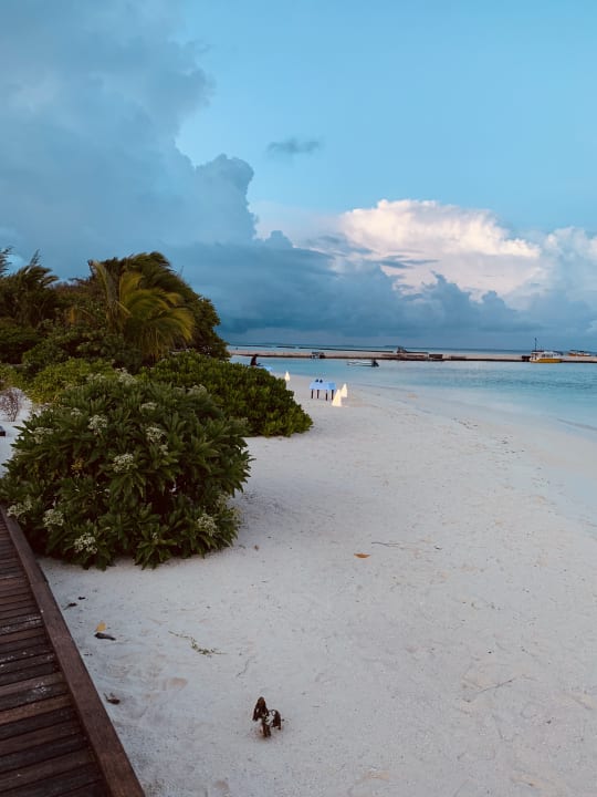 Ausblick Summer Island Maldives