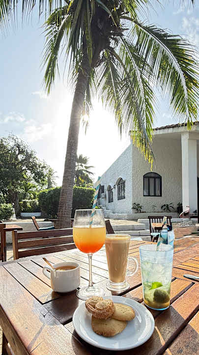 Gartenanlage Hotel Diani Sea Lodge