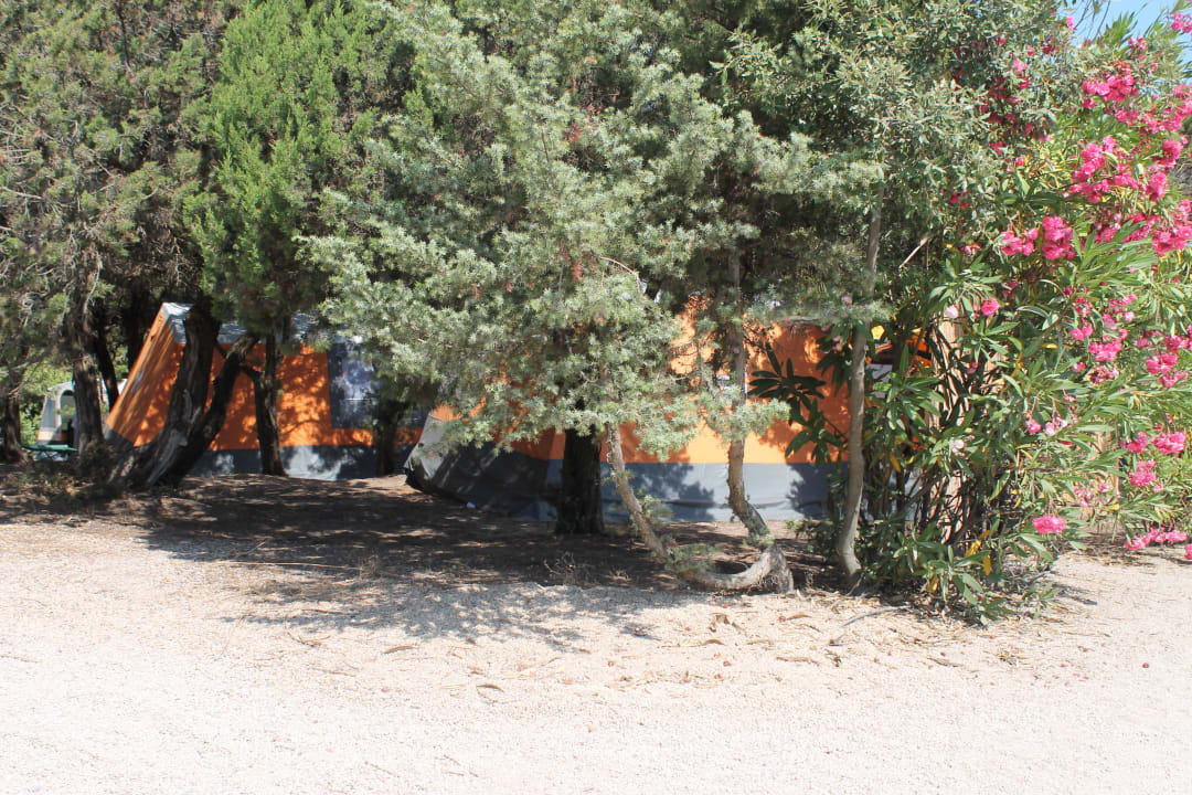 Zeltvillagio Ruf Club of Emotions