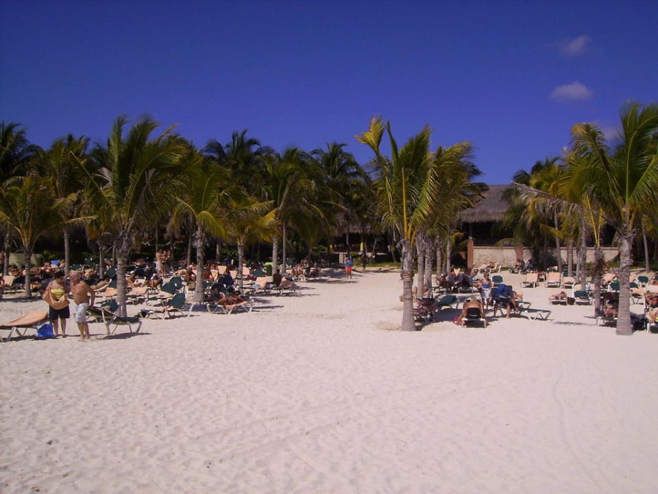 Strandabschnitt Hotel Riu Tequila