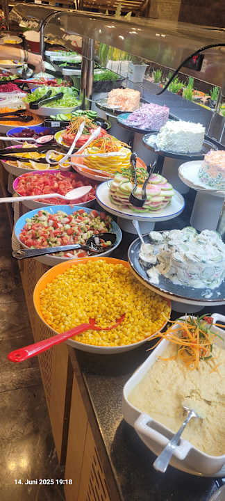 Gastro Seashell Vega