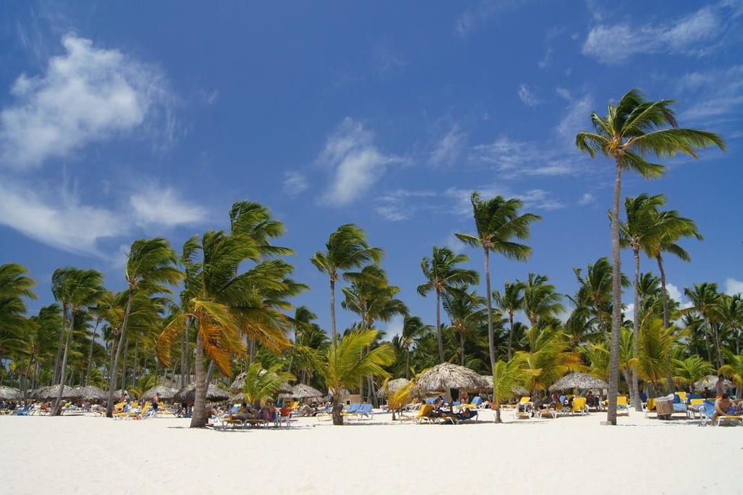Sehr schöner Strand! Catalonia Punta Cana - All Inclusive