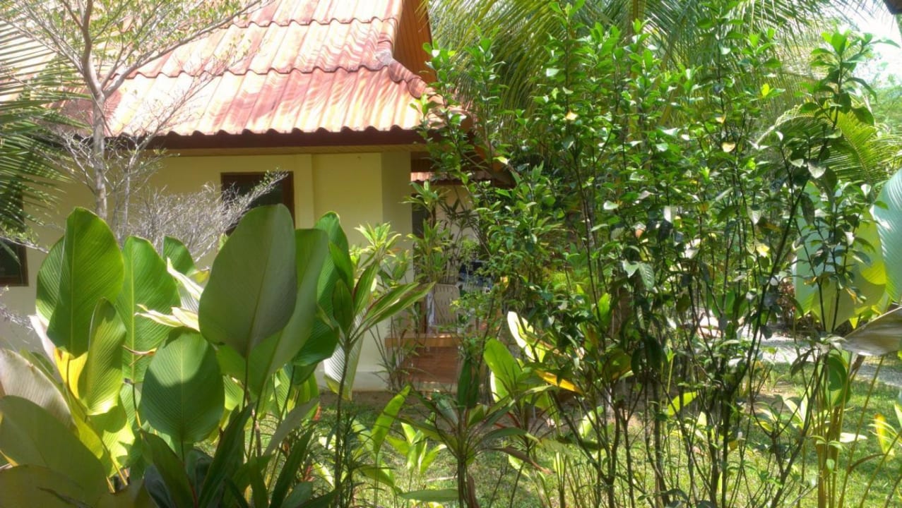 Einer der Bungalows Hotel Khaolak Riverside Bungalow