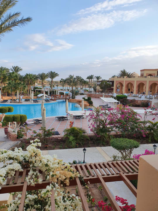 Sport & Freizeit  Steigenberger Coraya Beach - Adults only