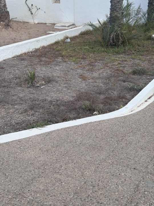 Gartenanlage Hotel El Mouradi Djerba Menzel