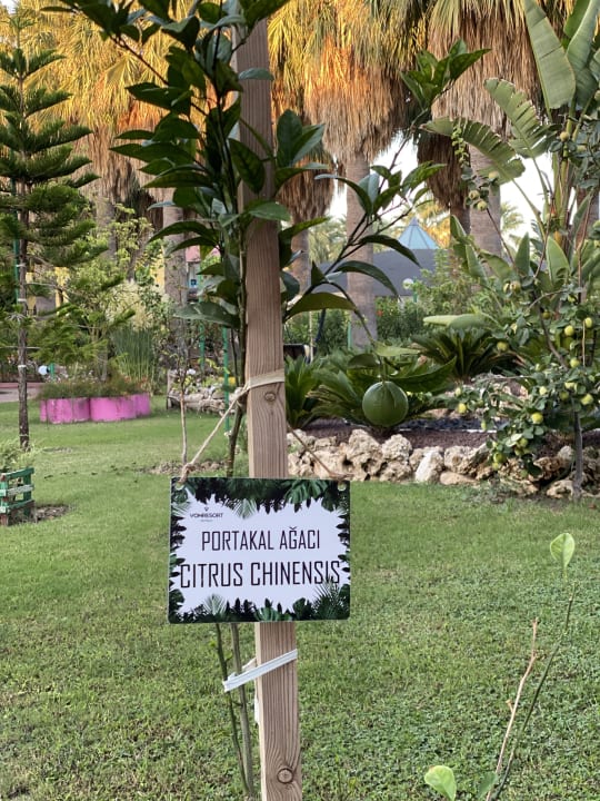 Gartenanlage VONRESORT Golden Beach