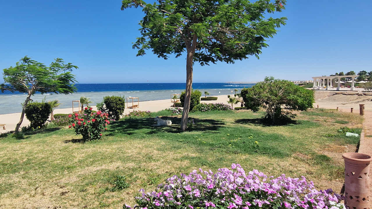 Gartenanlage Three Corners Equinox Beach Resort