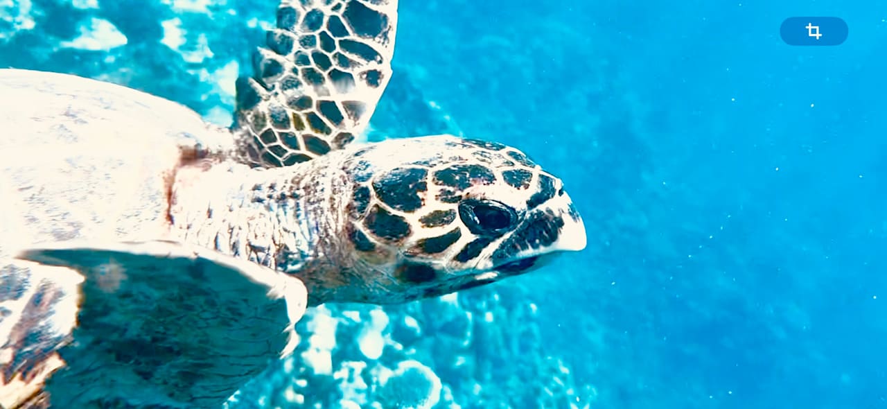 Strand Beach Safari Nubian Resort