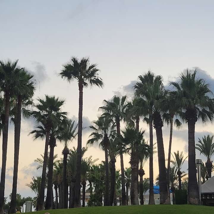 Außenansicht Monachus Family Resort Sorgun