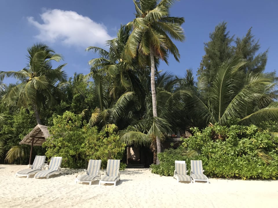 Strand Summer Island Maldives