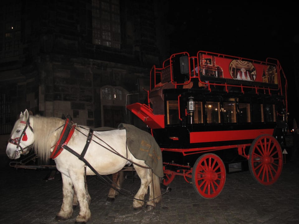 Kutschfahrten direkt vor dem Hotel Hilton Dresden