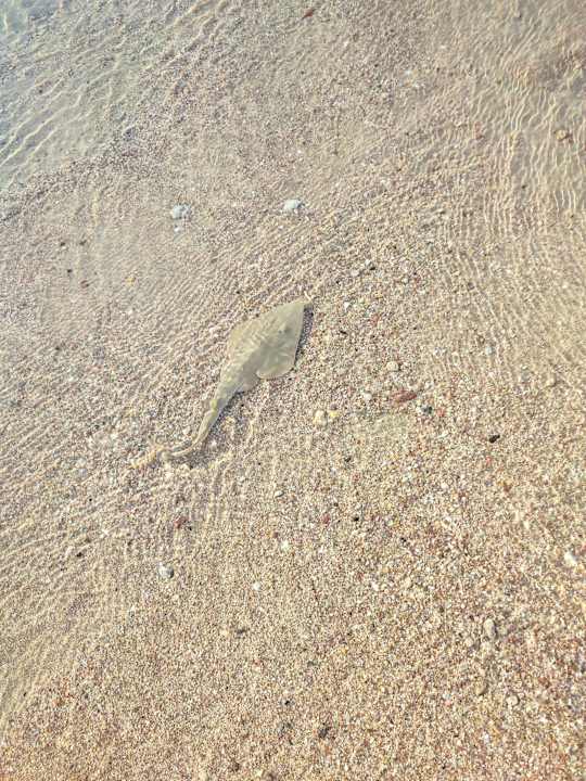 Strand Kaisol Romance Resort