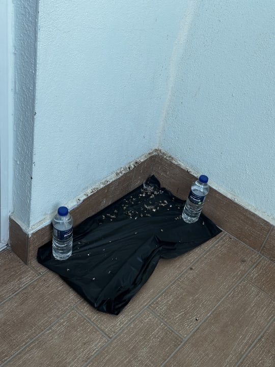 Zimmer Vikingen Infinity Resort & Spa