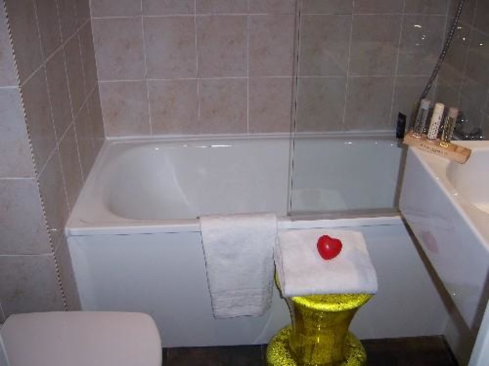 Badezimmer mit WC Ibis Paris Gare de Lyon Reuilly