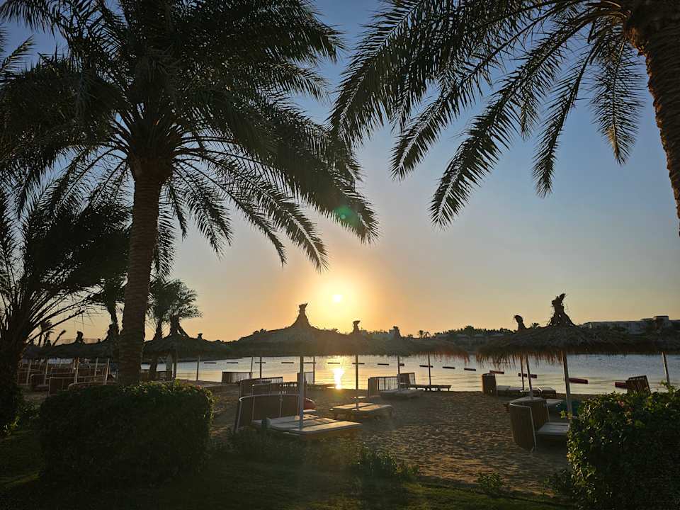 Außenansicht Desert Rose