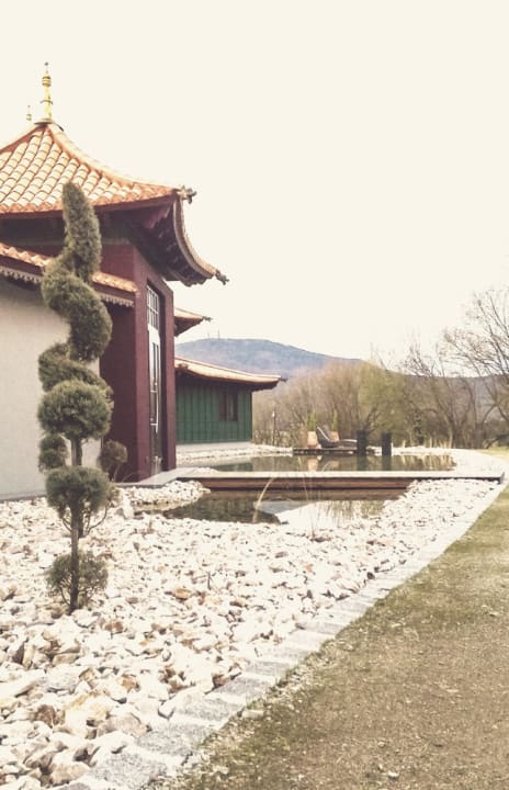 Wellnessbereich Spirit & SPA Hotel Birkenhof am Elfenhain