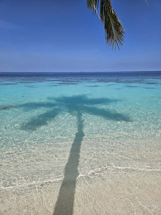 Ausblick Reethi Faru Resort