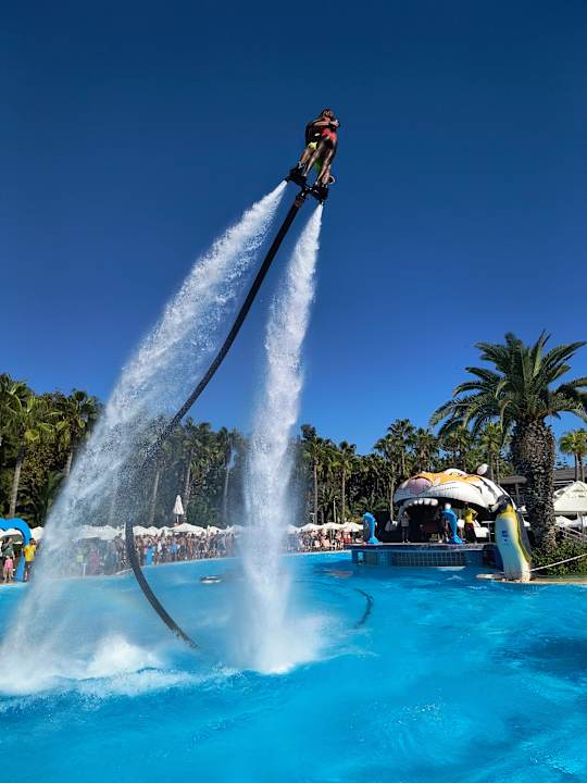 Pool Hotel Botanik Platinum
