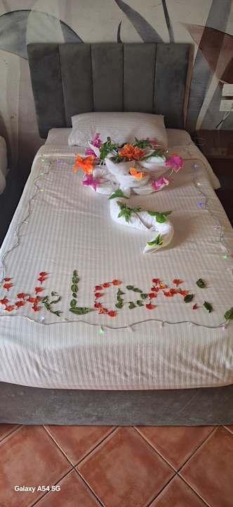 Zimmer Three Corners Sea Beach Resort