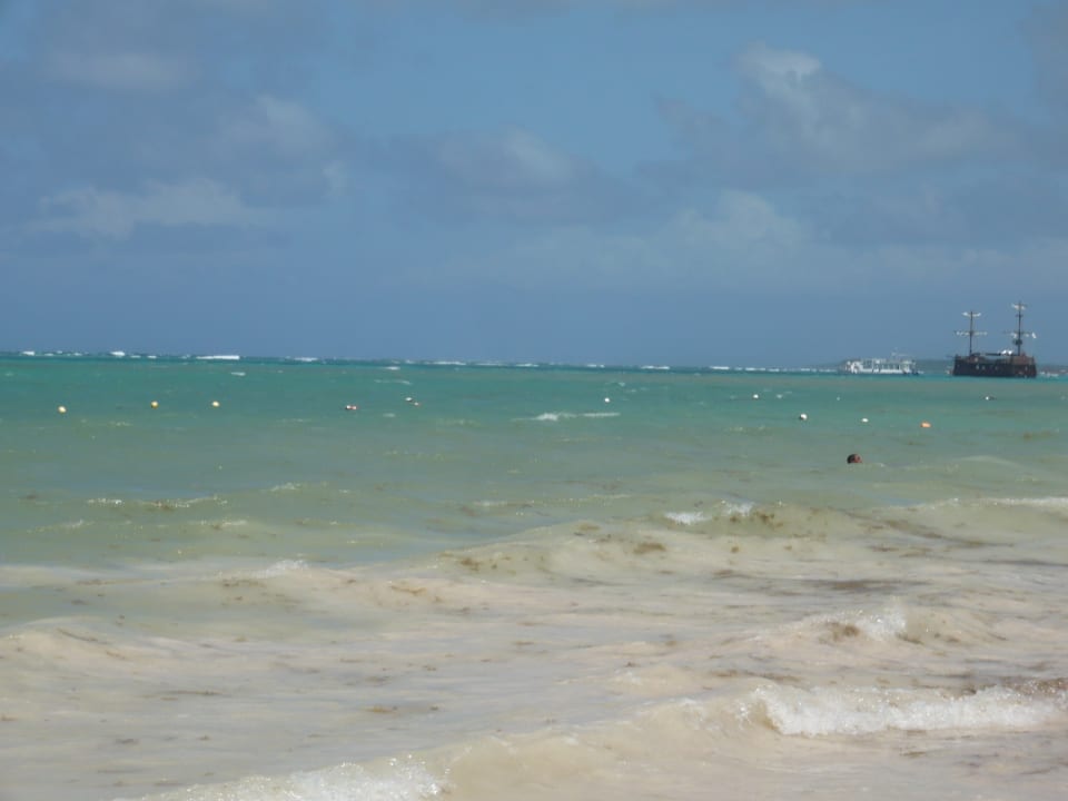 Auch im Meer leider zuviel Seetang + Algen. Hotel Grand Palladium Palace Resort, Spa & Casino