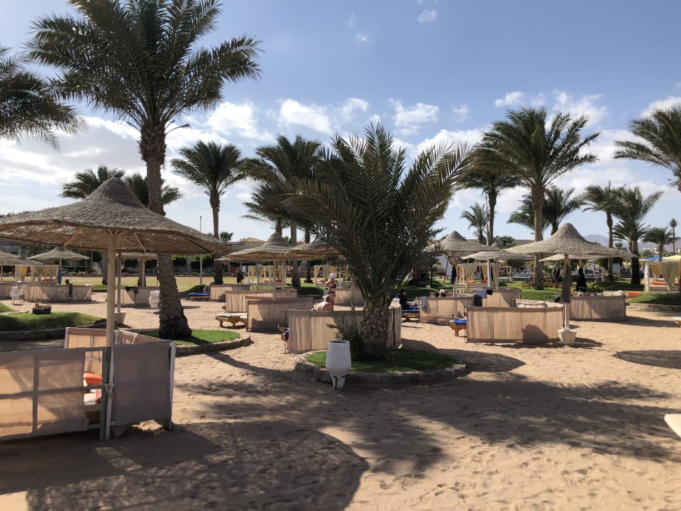 Strand Pickalbatros Royal Moderna Resort-Sharm El Sheikh