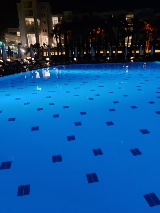 Pool Monachus Family Resort Sorgun