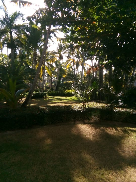 Gartenanlage Hotel Grand Palladium Palace Resort, Spa & Casino