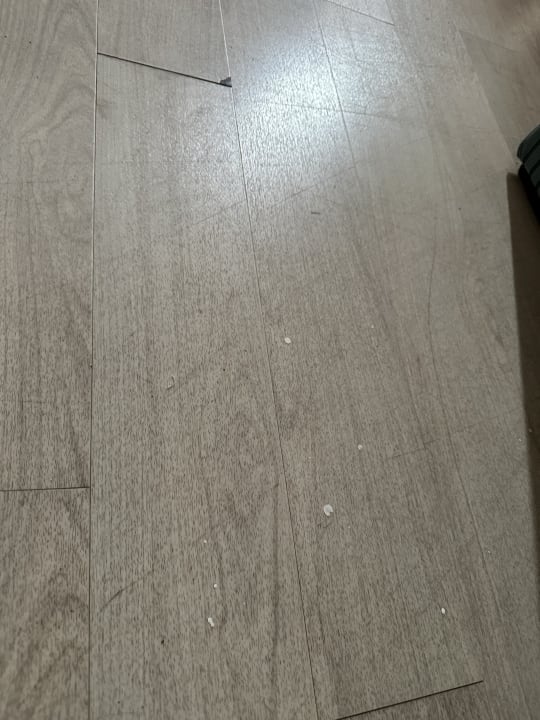 Zimmer Iberostar Waves Bellevue