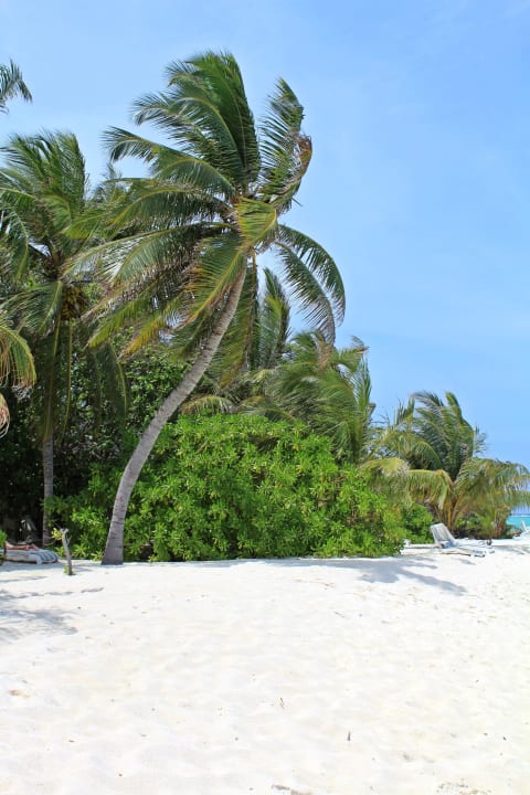 Direkter Strandabschnitt vor unserem Bungi Summer Island Maldives