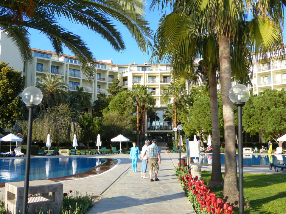 Geplegte Anlage Arum Barut Collection