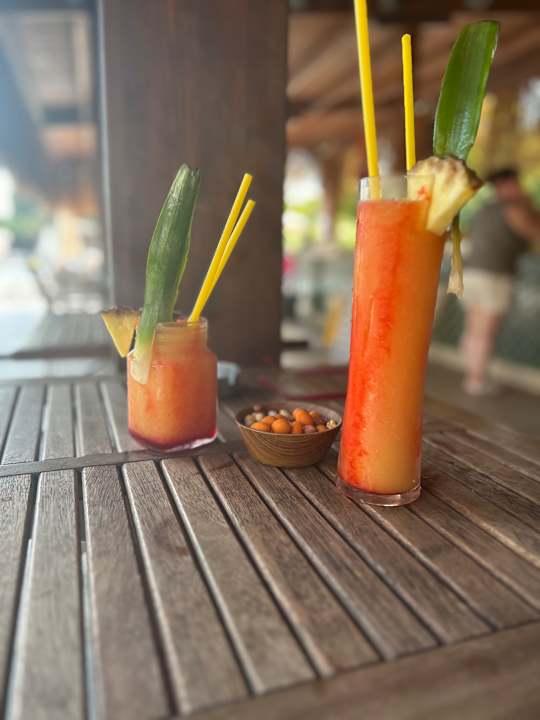 Gastro Saturn Palace Resort Hotel