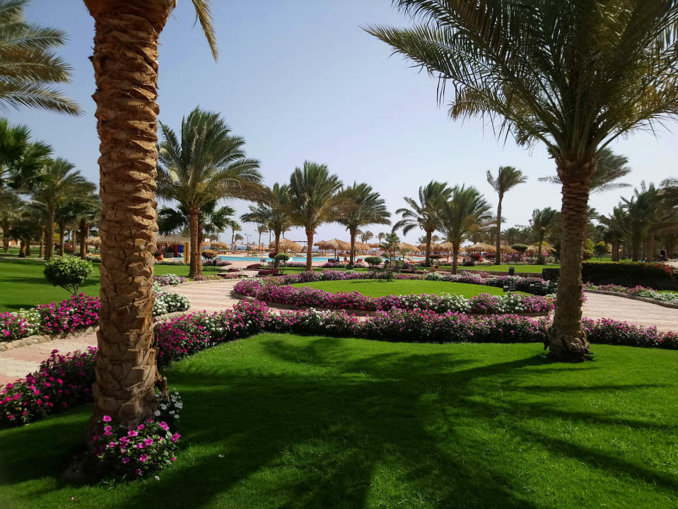 Gartenanlage Three Corners Sea Beach Resort