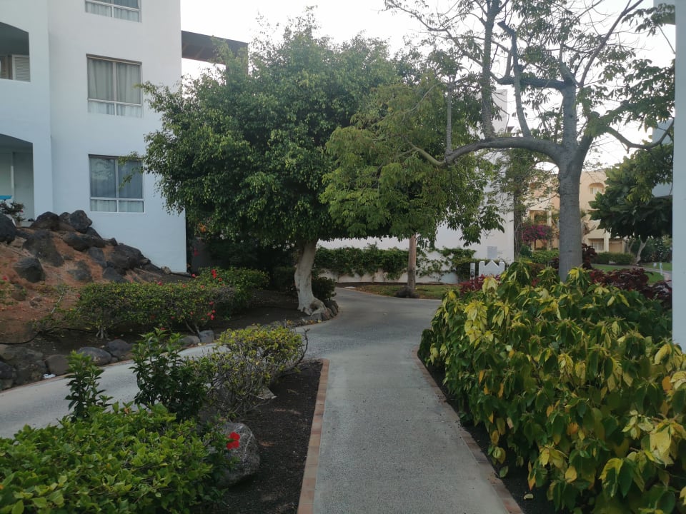 Gartenanlage ROBINSON ESQUINZO PLAYA