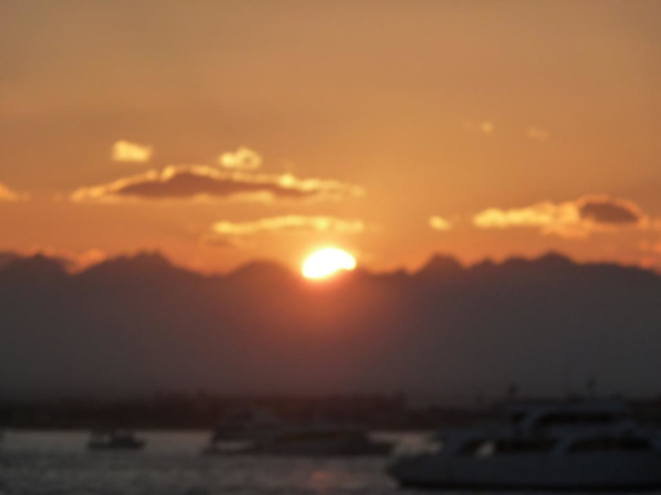 Ausblick vom Zimmer Pickalbatros Alf Leila Wa Leila Resort - Neverland Hurghada