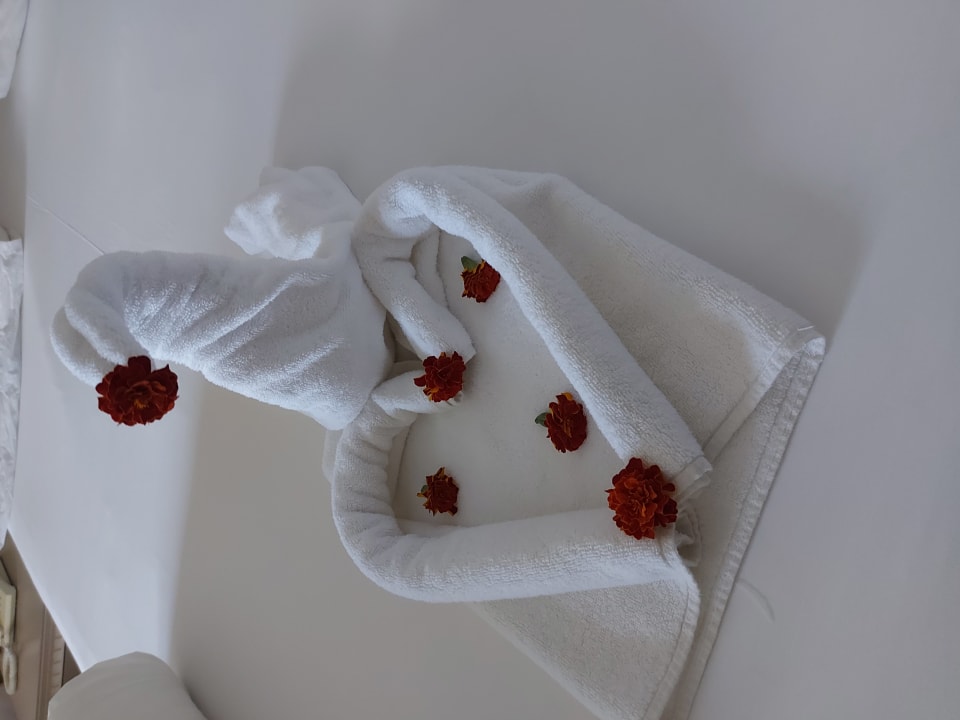 Zimmer Aydinbey Kings Palace & Spa