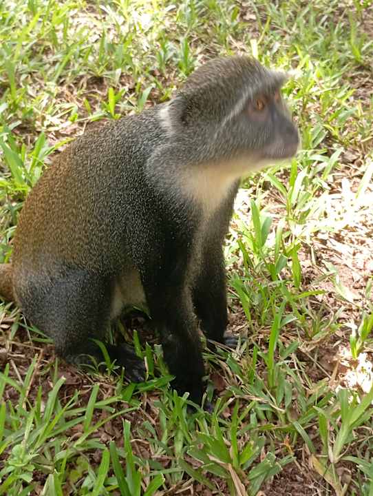 Außenansicht Baobab Beach Resort & Spa